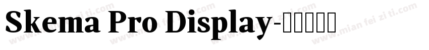 Skema Pro Display字体转换